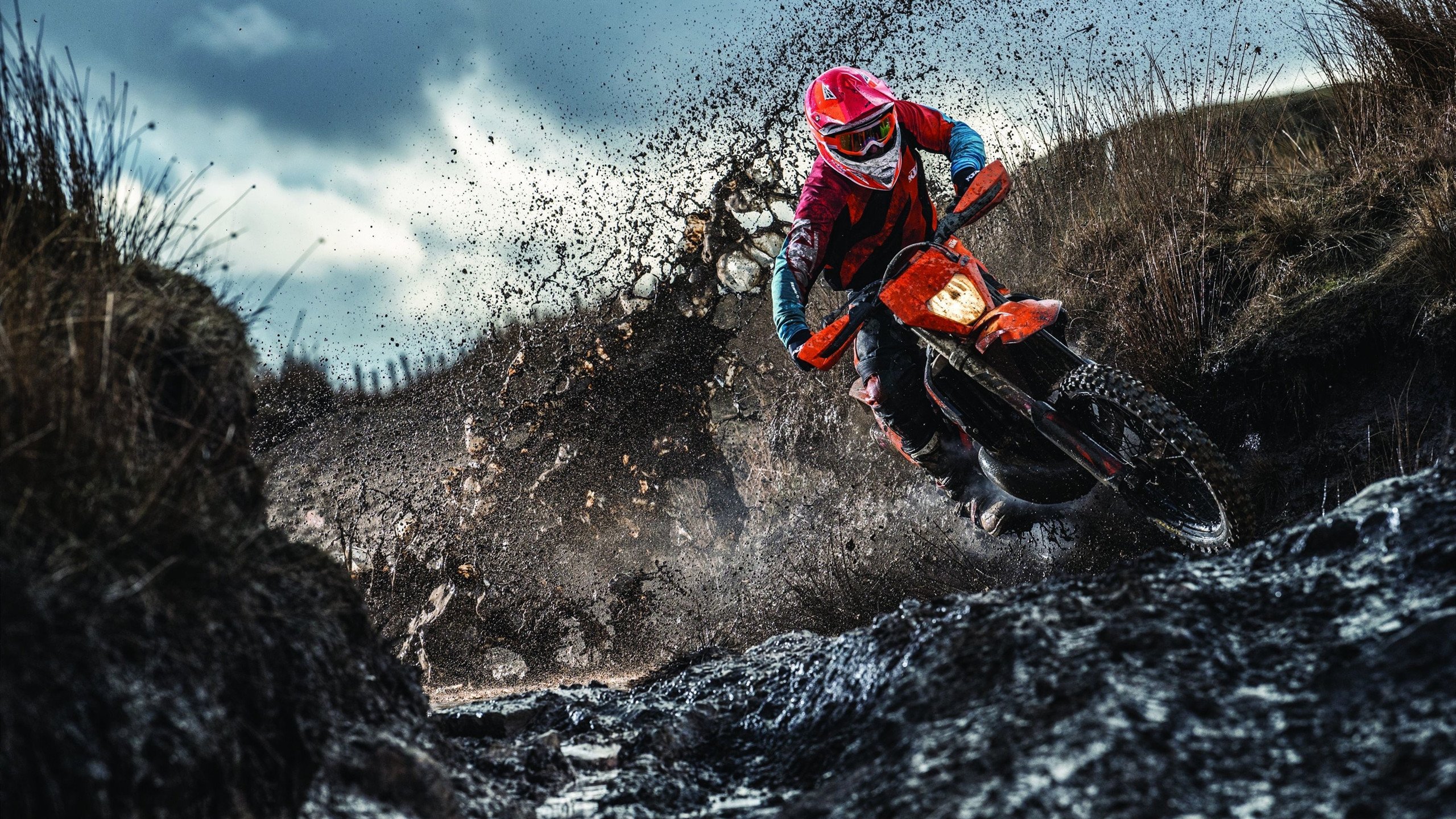 杨瀚森随队出征五连客或不被下放，杨瀚宇是谁